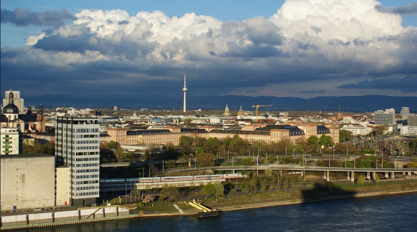 Unternehmensbefragung: Standortverbundenheit unverändert hoch